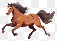 PNG Rocky Mountain Horse horse stallion running. 