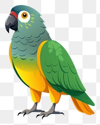 PNG Senegal parrot animal bird  