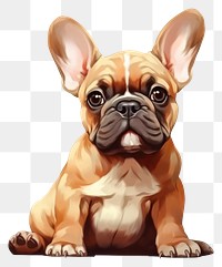 PNG  French bulldog animal mammal cute. AI generated Image by rawpixel.