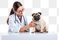 PNG Veterinarian dog mammal animal. AI generated Image by rawpixel.