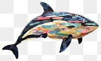 PNG Whale dolphin animal mammal. 