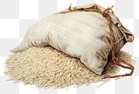 PNG White long rice pillow sack  