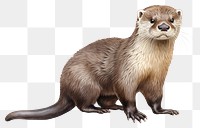 PNG Cute otter wildlife animal mammal. AI generated Image by rawpixel.