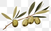 PNG Olive branch plant olive green. 