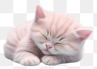 PNG Sleeping kitten animal mammal. 