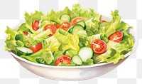 PNG Vegetable lettuce salad plate. AI generated Image by rawpixel.