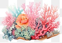 PNG Coral reef outdoors nature sea. 