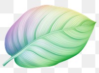 PNG Plant leaf pattern blossom. AI generated Image by rawpixel.