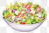 PNG Salad vegetable lettuce plate. 