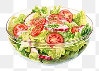 PNG Salad vegetable lettuce plate. AI generated Image by rawpixel.