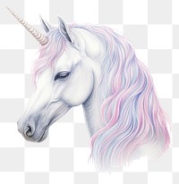 PNG Unicorn drawing animal mammal. 