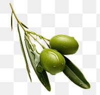 PNG Fruit plant food leaf. AI generated Image by rawpixel.