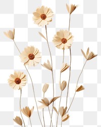 PNG Flowers petal plant white. AI generated Image by rawpixel.