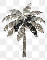 PNG Palm tree plant art architecture. 