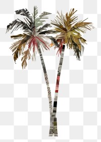 PNG Palm tree outdoors painting plant. 