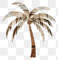 PNG Palm tree plant art creativity. 