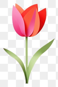 PNG Tulip flower plant  