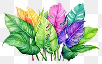 PNG Tropical leaves drawing plant leaf. 