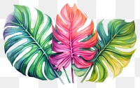 PNG Tropical leaves drawing plant leaf. AI generated Image by rawpixel.