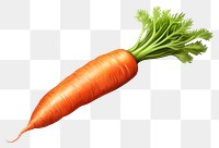 PNG Carrot vegetable plant food. 