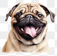 PNG Happy pug animal mammal pet. AI generated Image by rawpixel.
