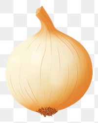 PNG Onion vegetable shallot plant. 