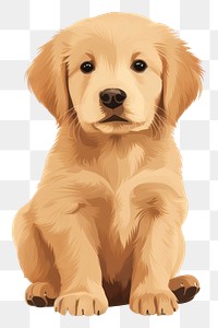 PNG Golden retriever puppy animal mammal pet. 