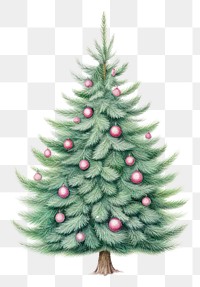 PNG Christmas tree pine decoration drawing. 