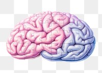 PNG Drawing brain medical illness. AI generated Image by rawpixel.