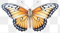 PNG Tiger butterfly animal insect white background. AI generated Image by rawpixel.