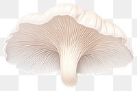 PNG King oyster mushroom fungus  