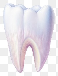 PNG Tooth white background blossom pottery. AI generated Image by rawpixel.
