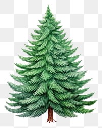 PNG Christmas tree pine plant fir. AI generated Image by rawpixel.