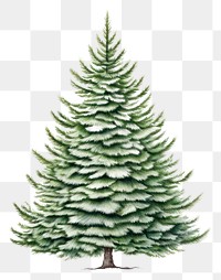 PNG Christmas tree pine decoration drawing. AI generated Image by rawpixel.