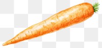 PNG Carrot carrot front view vegetable plant. 