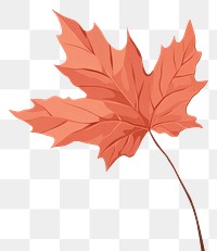 PNG Autumn leave plant leaf tree. AI generated Image by rawpixel.