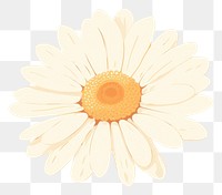 PNG Daisy flower petal plant. AI generated Image by rawpixel.