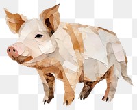 PNG Pig animal mammal boar. 