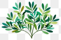 PNG Green bush plant herbs leaf. AI generated Image by rawpixel.