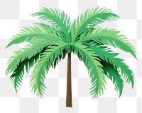 PNG Palm tree plant green leaf. AI generated Image by rawpixel.