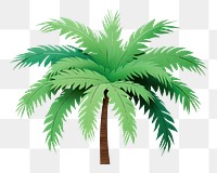 PNG Palm tree plant green leaf. 