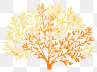 PNG Yellow coral plant leaf art. 