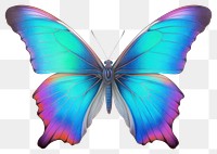 PNG Butterfly animal insect  