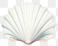 PNG Sea shell clam white background invertebrate. 