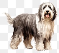 PNG Bearded Collie Dog dog mammal animal. 