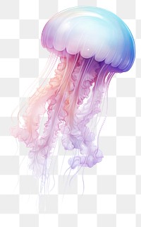 PNG Cute jellyfish drawing sketch invertebrate. 