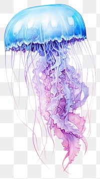 PNG Cute jellyfish drawing animal sketch. 