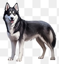 PNG Husky mammal animal pet. AI generated Image by rawpixel.