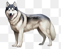 PNG Husky mammal animal wolf. AI generated Image by rawpixel.