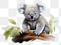 PNG Koala wildlife drawing mammal. AI generated Image by rawpixel.